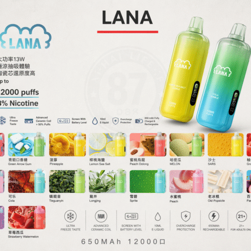 LANA 12000口一次性電子煙|可充電・大煙量・多口味